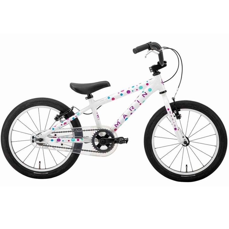 Marin Donkey Jr. 18